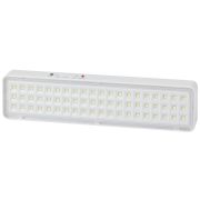 Светильник светодиодный DBA-103-0-20 60LED 5ч IP20 аварийный непостоянный Эра Б0044396